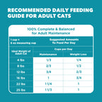 IAMS Proactive Health Indoor Dry Cat Food, Salmon, 7 lb