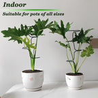 Indoor Plant Trellis Support, 4PCS Durable Metal in & Outdoor Trellis for Climbing Plants 15.7 Inch Metal Garden Stakes Plant Stem Holder Support for Potted Plants, Monstera, Flowers & Herbs (4PCS)