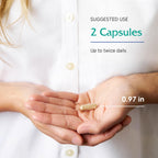 Vitanica, GABA Ease, Calming Support, Vegan, 60 Capsules