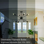 TJOY 12 Pack A19 Vintage LED Edison Bulbs, Dimmable, 60W Equivalent, High Brightness 2700K Warm White, 8W E26 Standard Base, 800 Lumens, CRI80+, Clear Glass Filament Bulb for Home, Farmhouse