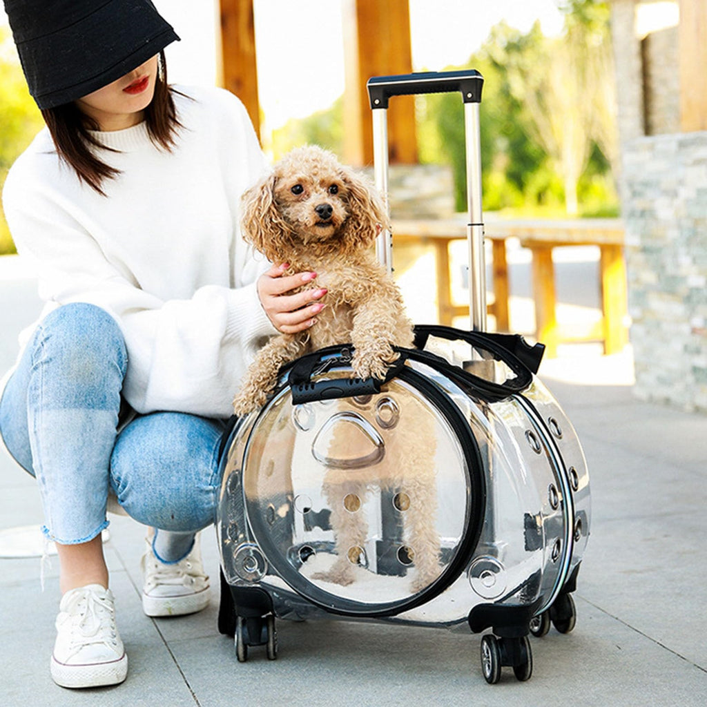 gihusrzx Pet Trolley Case with Upgraded Detachable Silent Wheels, Clear Ventilation Holes Cat Dog Carrier, Cat Dog Carrier with Telescopic Handle, Perfect for Traveling/Taking a Walk Black
