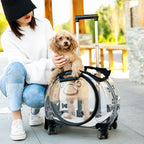 gihusrzx Pet Trolley Case with Upgraded Detachable Silent Wheels, Clear Ventilation Holes Cat Dog Carrier, Cat Dog Carrier with Telescopic Handle, Perfect for Traveling/Taking a Walk Black