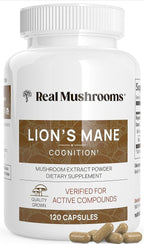Lions Mane Mushroom Cognition (120 Capsules) Lions Mane Mushroom Powder Extract Capsules | Brain Supplement, Brain Vitamins, Focus Supplement