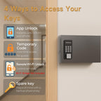 DiDiHere 24 Key Lock Box Wall Mount, APP Bluetooth/One Time Password Share/Wi-Fi Remote, Smart Key Cabinet, Key Organizer box, Access Log Tracking Key Management System Apartment, Hotel, Office, House