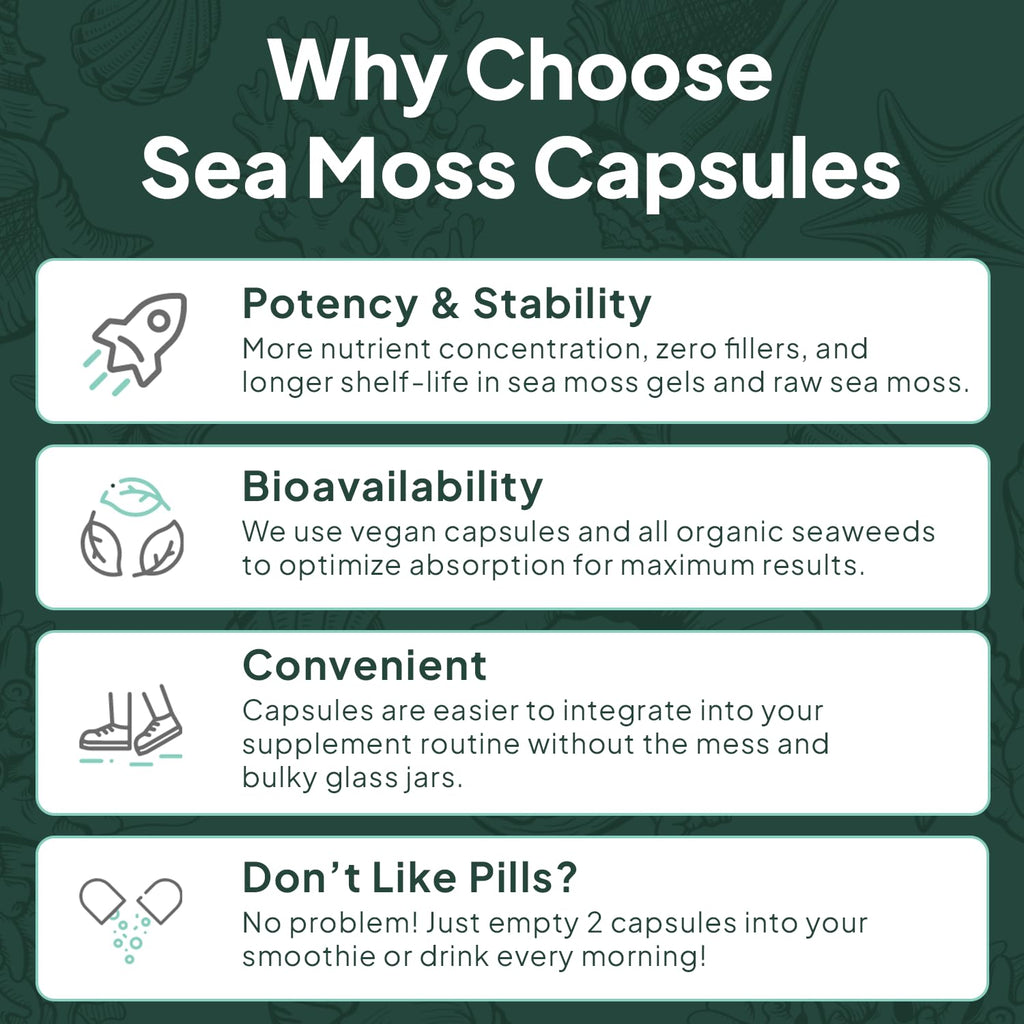 Organics Ocean Wild Sea Moss Capsules - 100% Organic Irish Sea Moss with Organic Chlorella, Bladderwrack and Vitamin D for Energy, Lung Health and Thyroid Support for Women and Men - 60 Capsules