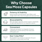 Organics Ocean Wild Sea Moss Capsules - 100% Organic Irish Sea Moss with Organic Chlorella, Bladderwrack and Vitamin D for Energy, Lung Health and Thyroid Support for Women and Men - 60 Capsules