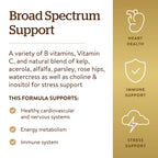Solgar B-Complex with Vitamin C Stress Formula, 250 Tablets - Energy Metabolism, Nervous System & Immune Support - Non-GMO, Vegan, Gluten Free, Dairy Free, Kosher - 125 Servings