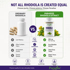 Paradise Herbs Rhodiola Extract 500mg, Super Potent Antioxidant, Ultra Pure, Vegan, Non-GMO, Gluten Free, 60 Vegetarian Capsules