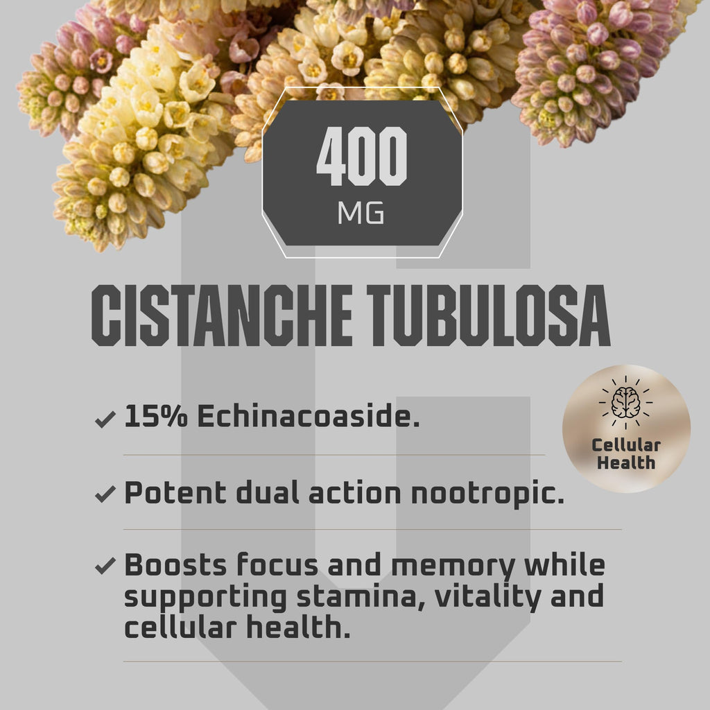 Earth Elixir Cistanche Supplement for Men & Women – Potent Cistanche Tubulosa Extract Capsules for Daily Vitality, Strength & Performance Support – Made in USA, 3rd Party Tested & 3 Month Supply