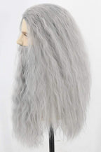 Topcosplay Men Wigs and Beard Set Long Gray Cosplay Halloween Costume Party Wizard Wig