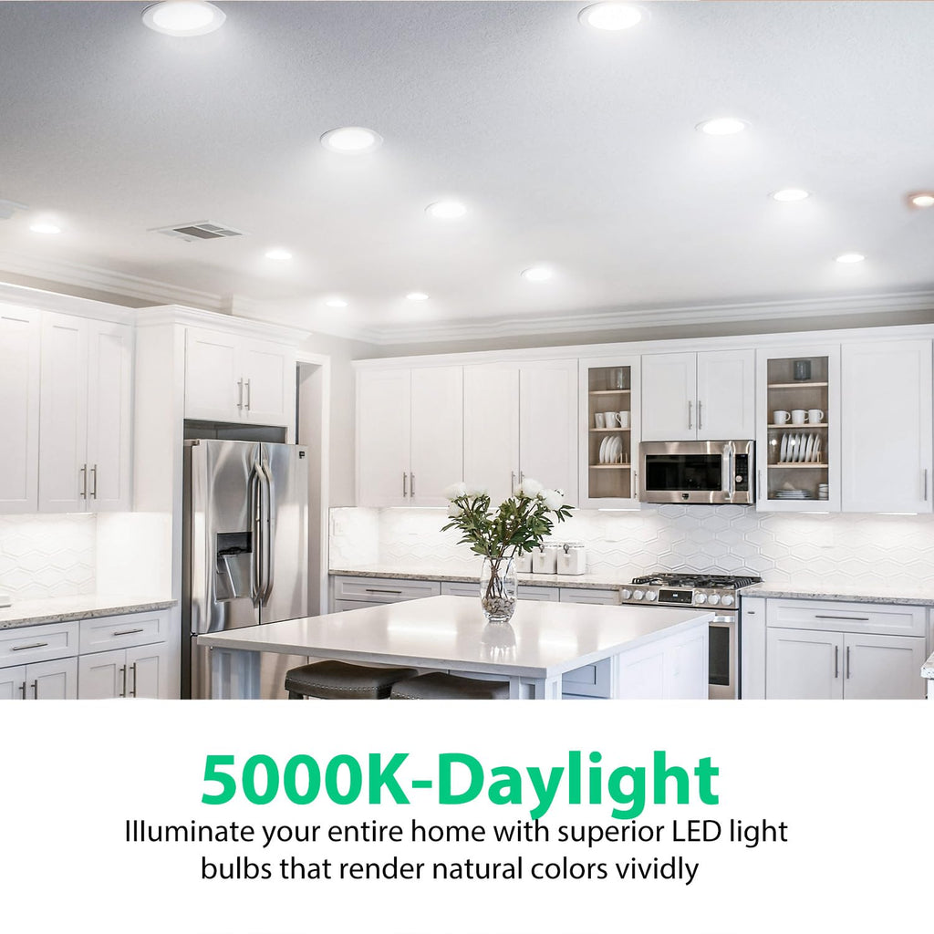 DAYBETTER BR30 LED Light Bulbs Indoor Flood Light, 5000K Daylight White LED Bulb 65W Equivalent, Dimmable, E26 Base, 800LM, Recessed Can Bulb for Living Room Bedroom Dining Room Bathroom, 12Pack