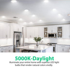 DAYBETTER BR30 LED Light Bulbs Indoor Flood Light, 5000K Daylight White LED Bulb 65W Equivalent, Dimmable, E26 Base, 800LM, Recessed Can Bulb for Living Room Bedroom Dining Room Bathroom, 12Pack