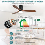 Sofucor 52 Inch Smart Ceiling Fans with Lights-Flush Mount Low Profile Modern Outdoor Solid Wood Ceiling Fans with Alexa/Google Assistant/APP/Remote Control for Bedroom/Farmhouse/Patio, Brown Black
