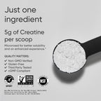 Sports Research Creatine Monohydrate - Gain Lean Muscle, Improve Performance and Strength and Support Workout Recovery* - 5 g Micronized Creatine - 17.64 oz