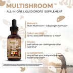 Organic Lions Mane Mushroom Supplement Liquid Drops + Turkey Tail Cordyceps Reishi Chaga Shitake Maitake Tremella Oyster Mushrooms Poria and Enokitake Complex Blend by Clean Nutra