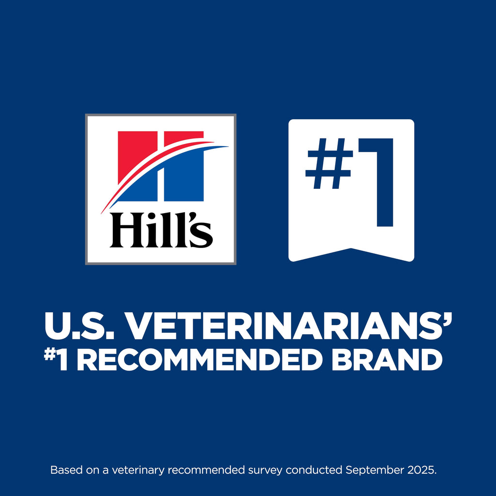 Hill's Science Diet Sensitive Stomach & Skin Dry Cat Food