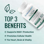 Approved Science NAD+ – 300mg NR, Quercetin, Vitamin B2, BioPerine – 60 Vegan Capsules – Pack of 1