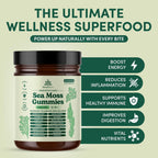 Natural Rems Sea Moss Gummies 16-in-1 - Ashwagandha Black Seed Oil Bladder Wrack Turmeric Vitamin C & D3 with Manuka Burdock Root Dandelion Yellow Dock Elderberry Apple Cider Vinegar (Green Apple)