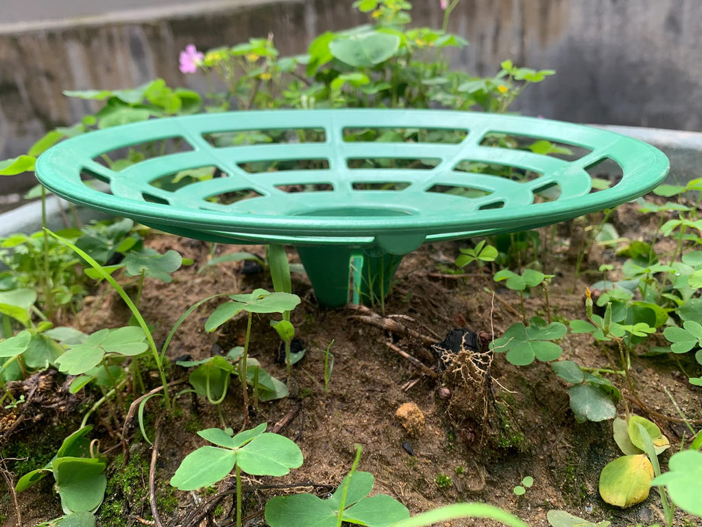 DSHE Melon Cradle 10 Packs Pumpkin Stand Plant Support for Cantaloupe Melon, Squash, Watermelon
