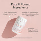 Alaya Multi Collagen Powder - Type I, II, III, V, X Hydrolyzed Collagen Peptides Protein Powder Supplement with MSM + GC (Raspberry Lemonade)