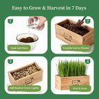 HiHOYA Cat Grass Kit for Indoor Cats - 5 Packets of Seeds, Cat Grass Planter Wooden Growing Kit, 5-Time Plant Starter Pack with 6 Soil Discs, Trimming Scissors, Spray Bottle, and Mini Tools