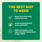 Spruce Weed & Grass Killer₃ Kit, Power Wand, 2 AA Batteries Included, 64 Oz