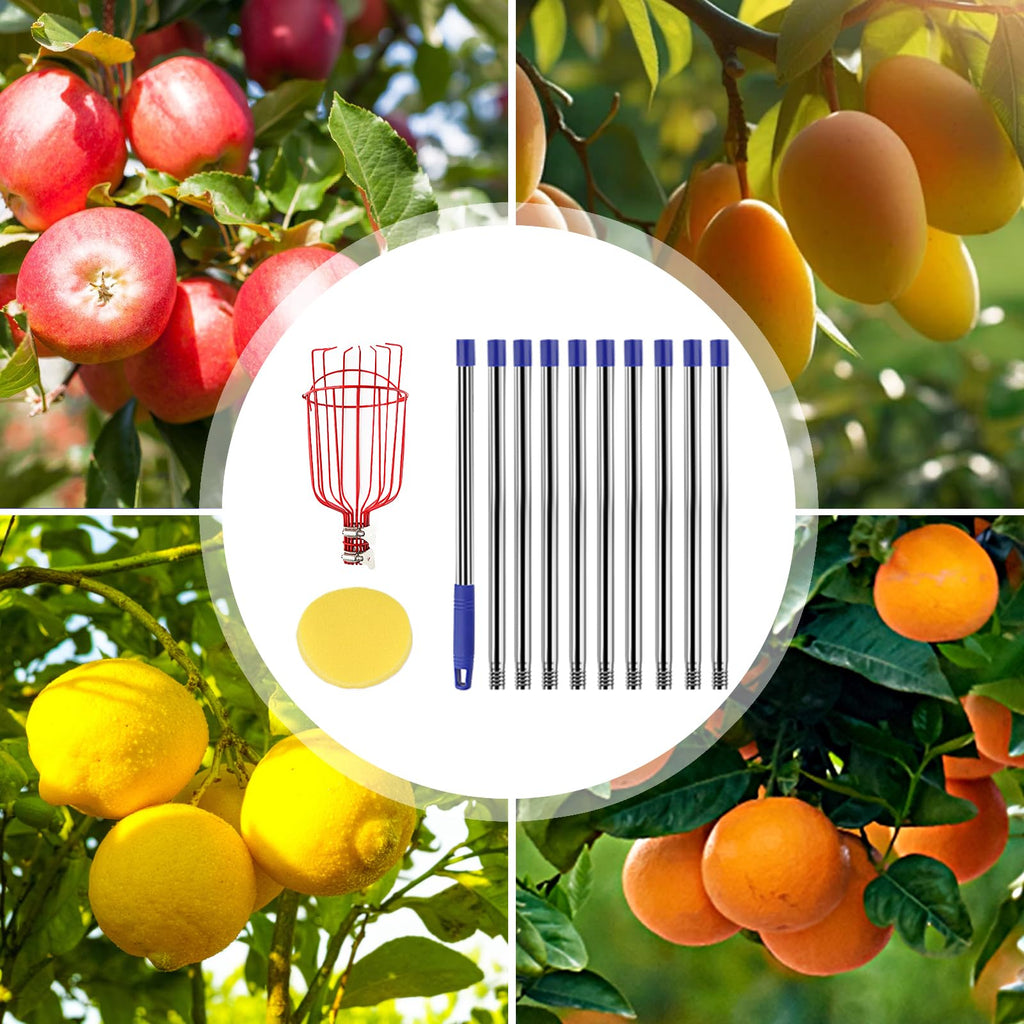 Qiullen 13 FT Extendable Fruit Picker Pole Tool Adjustable Long Handle Fruit Picker Metal Basket Fruit Grabber Tool with Protective Foam Pad Stainless Steel Garden Picker Tool for Apple Mango Lemon