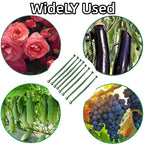 100Pcs Stake Arms for Tomato Cage, 11.8 inch Tomato Stake Connectors, Expandable Support Trellis Connectors for 11mm Stakes for Garden Climbing Plants Vegetables