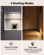 EZVALO 7.8" Rechargeable Motion Sensor Light Indoor, 6-Pack Under Cabinet Lighting, Wireless Closet Lights, 30 LED, Dimmable, 3 Color Temperatures, Step Lights for Kitchen, Pantry, Bedroom, Wardrobe