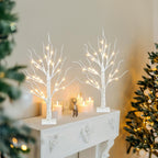 PEIDUO Christmas Decorations, 2FT Birch Tree with LED Lights, Warm White Light up Tree Lamp, Artificial Trees for Home Table Inside, Battery Powered, Timer (2PK)