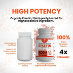Organic Fisetin Supplement Capsules 400mg -4X Stronger- Natural Bioflavonoid Similar to Apigenin, Quercetin, Luteolin - Senolytic Activator May Support Brain Health, & Age-Defying
