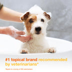Douxo S3 PYO Chlorhexidine Shampoo For Dogs, Medicated Shampoo Antibacterial & Antiseptic, Yeast Infection Treatment for Dogs & Cats, Clinically Proven, 16.9 fl oz