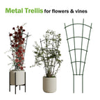 DOLEMODUO 6-Pack Metal Trellis for Potted Plants, 43" Heavy Duty Garden Trellis for Climbing Plants, Rustproof Powder Coated Indoor/Outdoor Trellis for Climbing Vines, Flowers, Houseplants