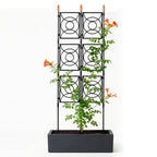 Trellis for Climbing Plants Outdoor, 24 Rifny Tall Garden Trellis Flower Rose Cucumber Trellis for Vines Pea Support, Wall Large Plant Trellis Fence with Plastic Screen Frame, 2 x 6.2 FT