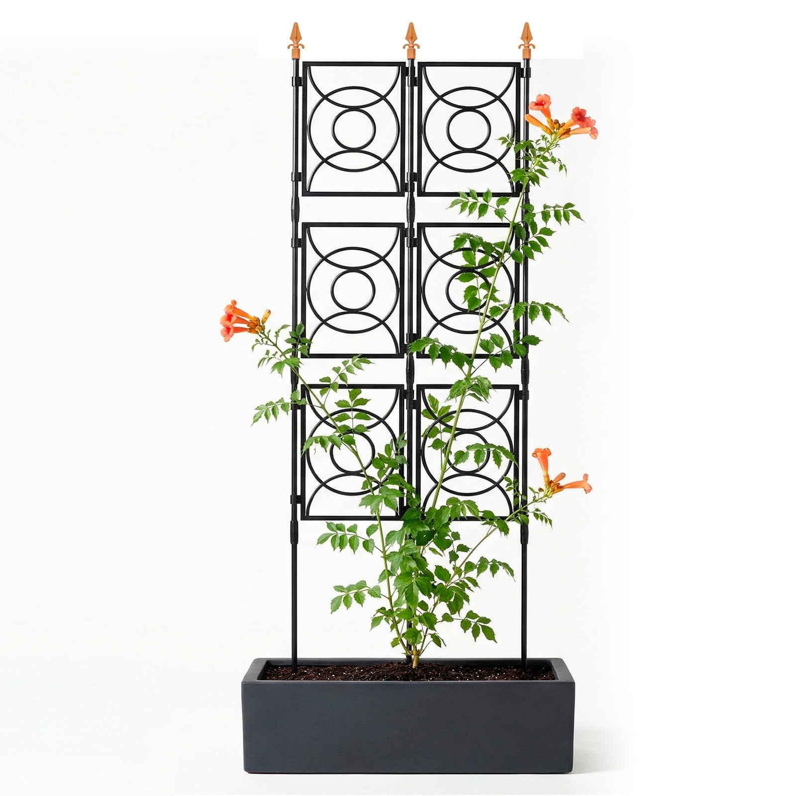 Trellis for Climbing Plants Outdoor, 24 Rifny Tall Garden Trellis Flower Rose Cucumber Trellis for Vines Pea Support, Wall Large Plant Trellis Fence with Plastic Screen Frame, 2 x 6.2 FT
