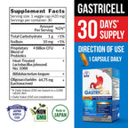 LABO Nutrition GASTRICELL - Acid Reflux, Heartburn, Recurring Gastric Discomfort For Natural Defence Against Gastric Distress, Supports Lining Integrity - Heat Treated Postbiotic, 1 Daily, 30 capsules