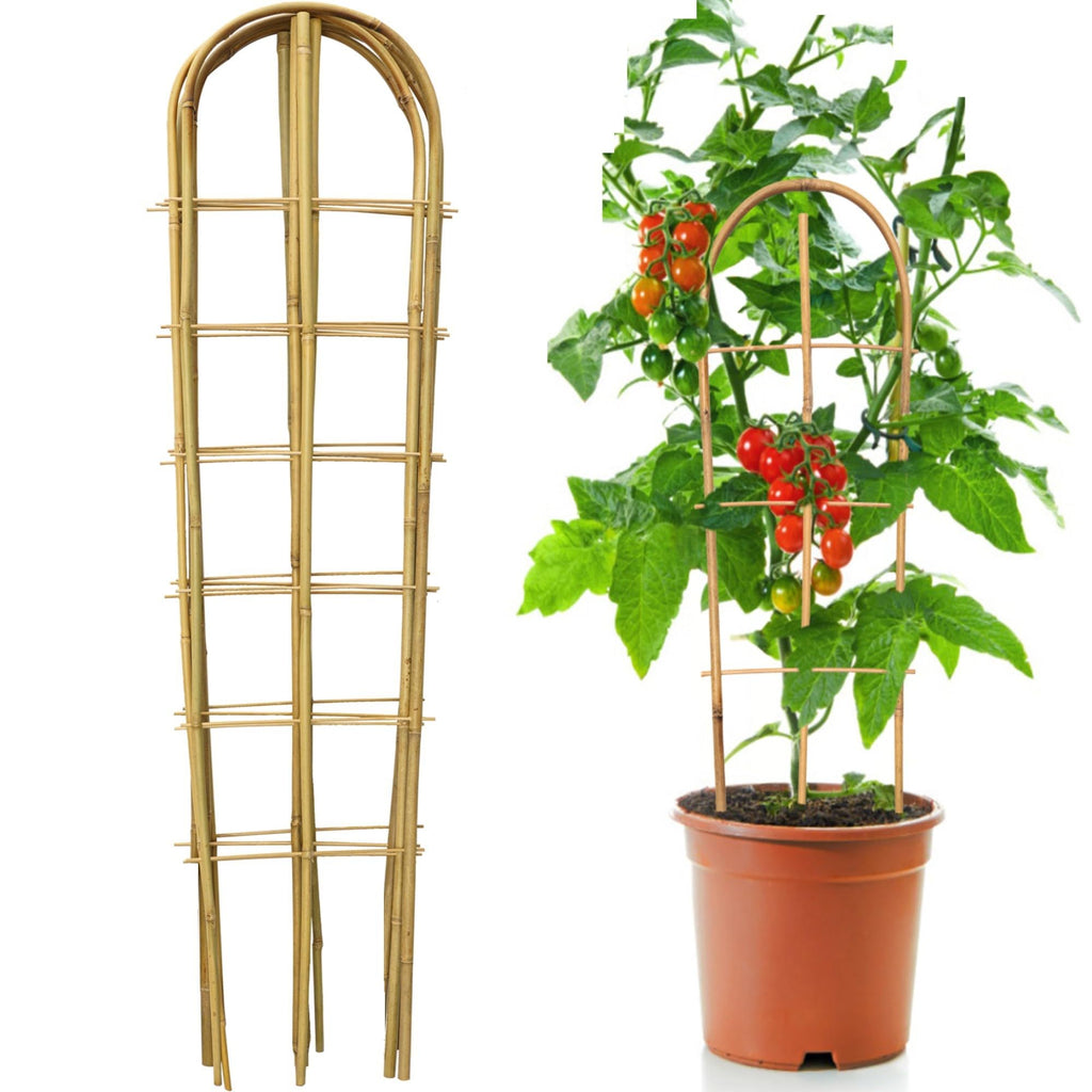 SWANGSA 6 Pack 4Ft U-Shape Bamboo Trellis for Climbing Plants, Garden Ladder Trellis for Outdoor and Indoor Plant Support, Potted Plants, Vegetables, Cucumber, Tomato, Vine