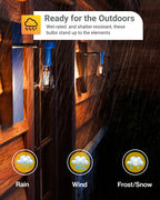 Sunco 2 Pack Dusk to Dawn Light Bulbs LED Edison 5000K Daylight, CRI90 7W Equivalent 60W, Vintage Style ST64 Extra Bright Automatic Bulb, 800 Lumens, E26 Base, Light Sensing Outdoor - UL.