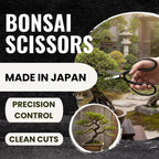 SenkichiKin Bonsai Scissors 7in (180mm) – Made in Japan Pruning Shears, Sharp Carbon Steel for Precision Trimming, Lightweight Tool for Bonsai, Flowers & Indoor Plants, forest Originals