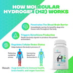 TrueShape Nutrition Essential H2 Fizzy Molecular Hydrogen Tablets for Water Nutritional Supplement (Unflavored, 60 Servings)