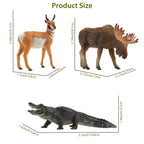 Toymany 12PCS Realistic North American Forest Animal Figurines Jungle Zoo
