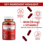 HealthBest High Potency Gentle Iron Capsules 19mg |Slow Release Iron for Faster Absorption, Non-Constipating| Vitamin C, B12, Folate Zinc & Selenium for Anemia, Hemoglobin & Immune Support |60 Count