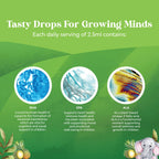 Kids DHA Omega 3 Drops - Fatty Acids Omega 3 6 9 for Brain, Immune Strength & Vision - Nutritional DHA for Healthy Nervous System & Focus Support - Liquid Supplement with EPA & ALA - 2 Fl Oz (3 Pack)