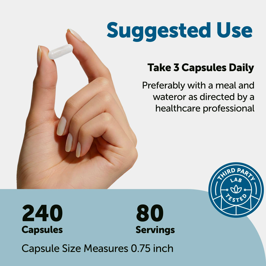 Micro Ingredients DHEA 100 mg Per Serving, 240 Capsules | Micronized DHEA Supplement for Women & Men | Non-GMO, Gluten Free, Soy Free