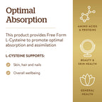 Solgar L-Cysteine 500 mg, 90 Vegetable Capsules - Free Form Amino Acid - Keratin Support for Skin, Hair & Nails - Glutathione Support - Vegan, Gluten Free, Dairy Free, Kosher - 90 Servings