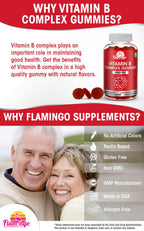 Sugar Free Vitamin B Complex Gummies - Vitamin B12, B7, B6, B3 (Niacin), B5, B8, B9 (Folate)- Third Party Tested- Prenatal, Vegan Diet, Older Adults - B Complex Vitamin Supplement- 60 Gummy Bottle