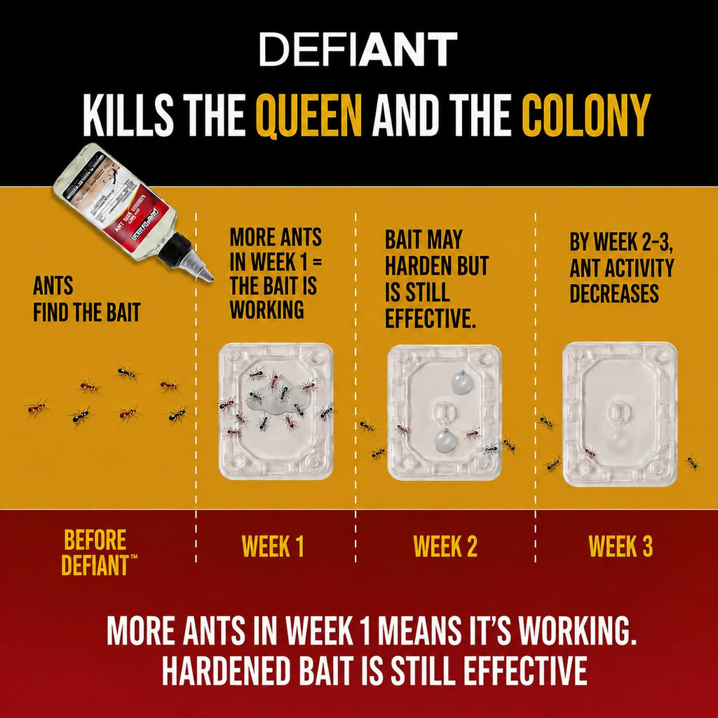 Catchmaster Defiant Premium Liquid Ant Killer, 1-Year Supply, Kills the Queen and Colony, No Mess Precision Bottle, Reusable Ant Traps Indoor & Outdoor, Pest Control Traps, Made in USA