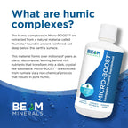 BEAM Minerals Micro-Boost and Electrolyze Advanced Set | Advanced Electrolyte & Micronutrient Support | 100% Bioavailable, Ionized Format