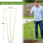 Avalution 10 Pack Bamboo Trellis for Climbing Plants, 4 FT Garden Ladder Trellis for Potted Plants Indoor, Fan-Shaped Small Plant Support Trellis for Houseplants Ivy Hoya Vine Monstera