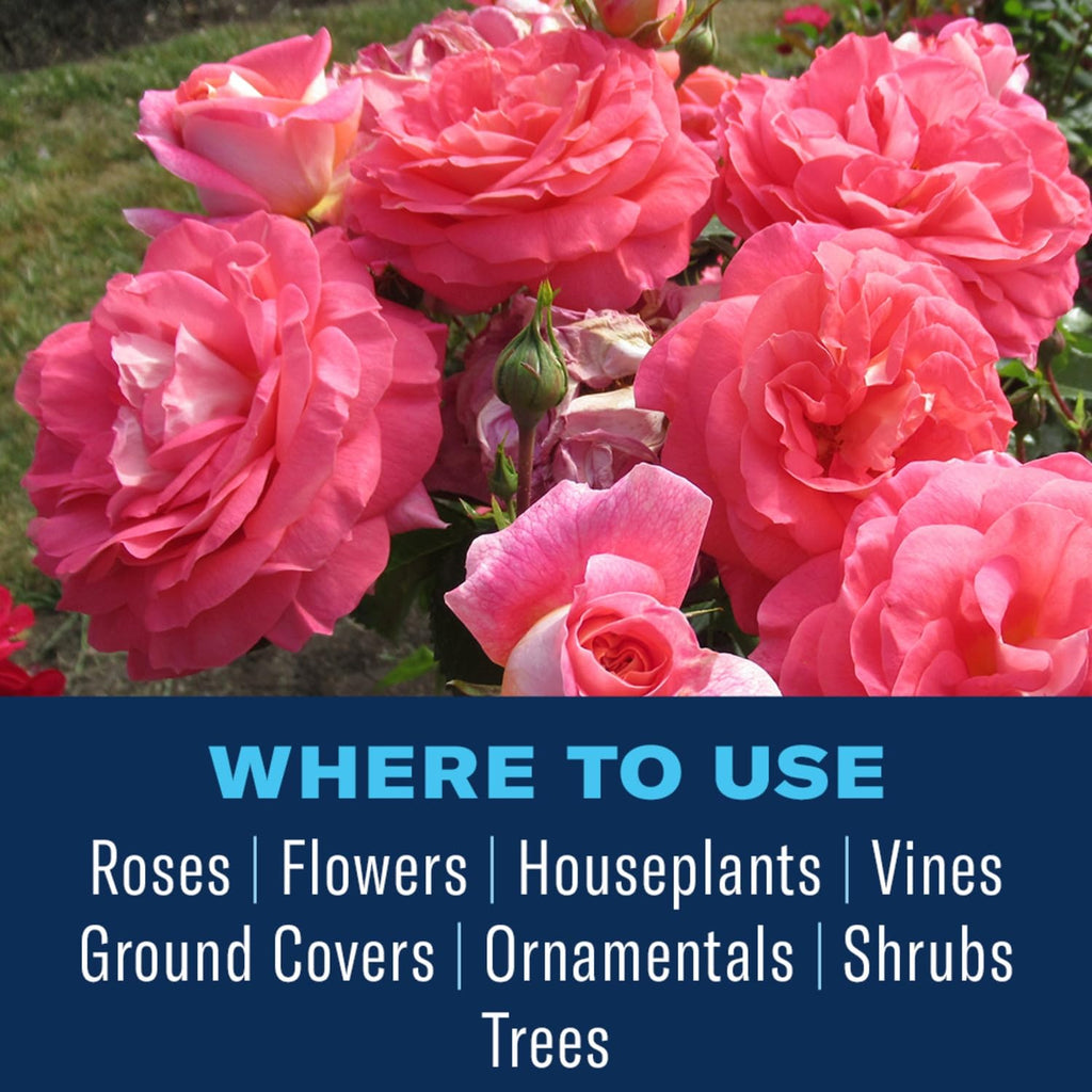 BioAdvanced All-in-One Rose and Flower Spray, Rose Fungicide, Concentrate, 64 Oz